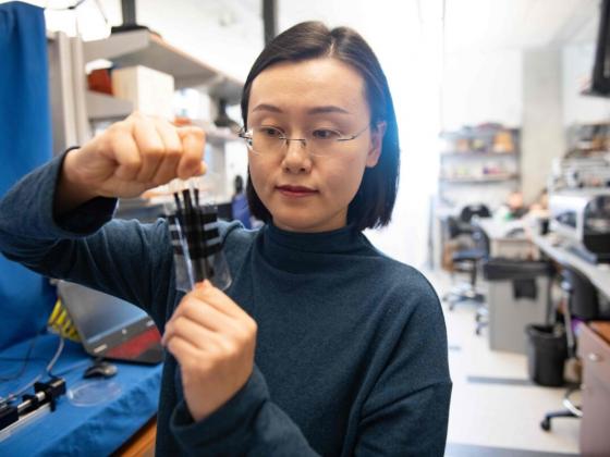 nanshu lu in lab holding and stretching e-skin material