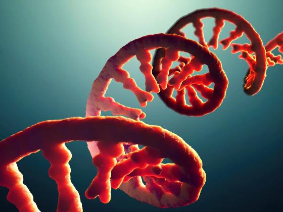 Illustration of ribonucleic acid (RNA).