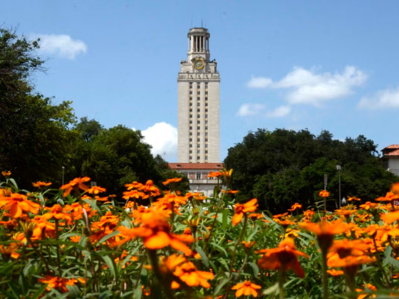 Orange flowers blossom in front of the University of Texas at Austin Tower.