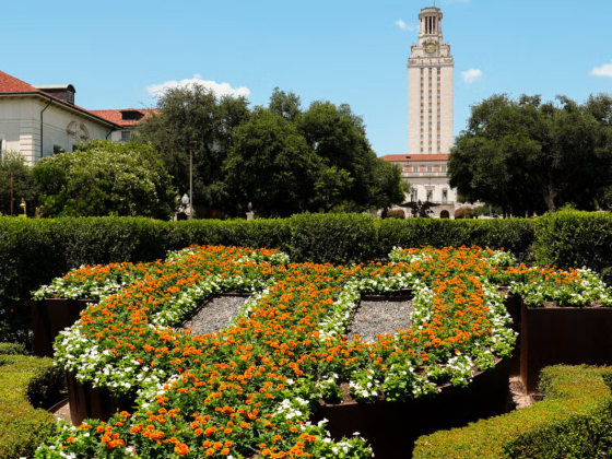 Landscaping on the University of Texas at Austin campus in the foreground with the University of Texas Tower in the background.