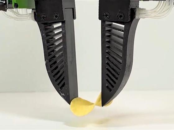 Robot gripper hand picks up potato chip.