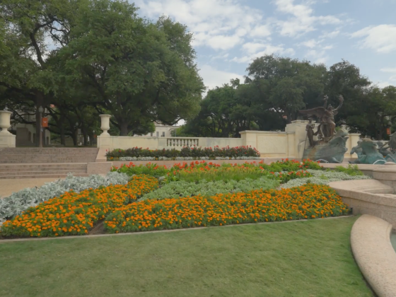 Landscaping on the University of Texas at Austin campus