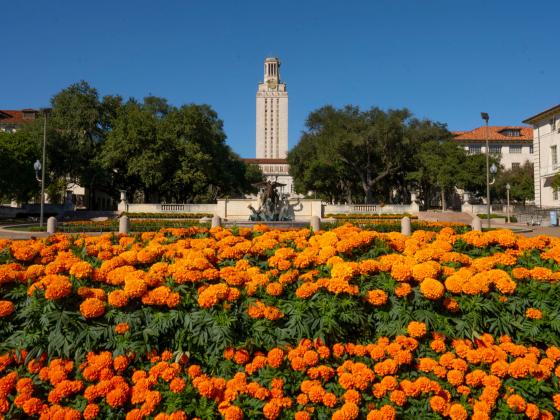 The University of Texas at Austin Tower with orange flowers in the foreground.