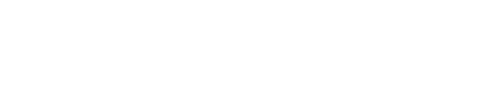 A Common Foundation for Every Longhorn