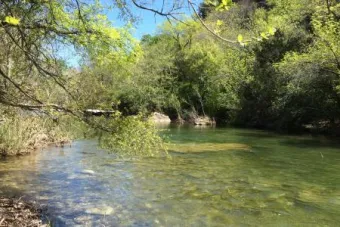 Barton creek flowing through the barton creek greenbelt