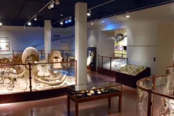 Texas Science & Natural History Museum
