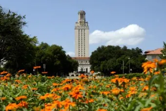 UT Tower with flowers