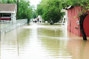 Four people walk holding hands through water up to their knees.
