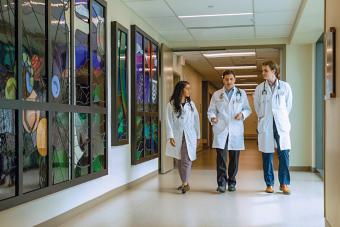 Three doctors in white lab coats talking while walking down a hallway.