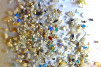 Close-up image of microplastics of different shapes, sizes and colors.
