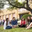 Social Work students gather outside under an oak tree
