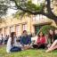 Social Work students gather outside under an oak tree