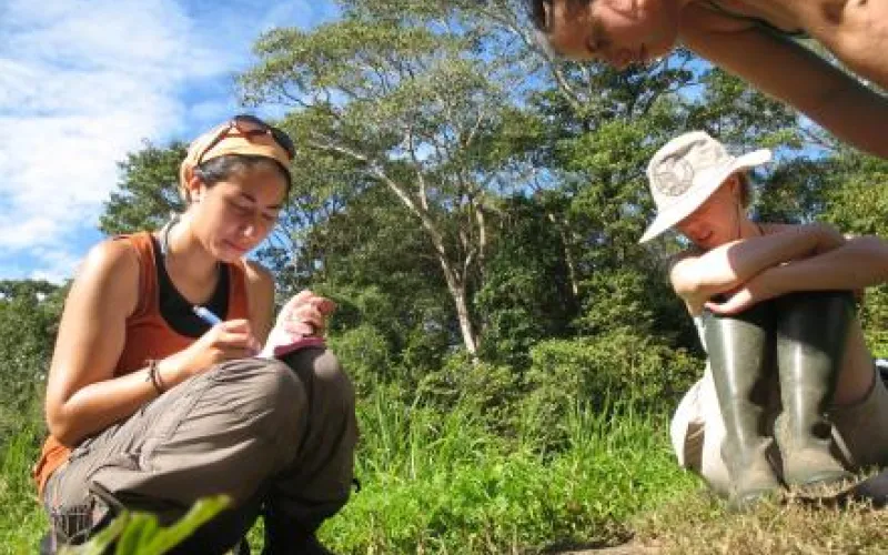 Experiential Learning