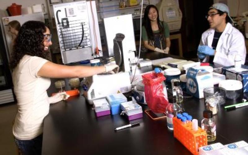 Student researchers stand at a table with lab equipment.